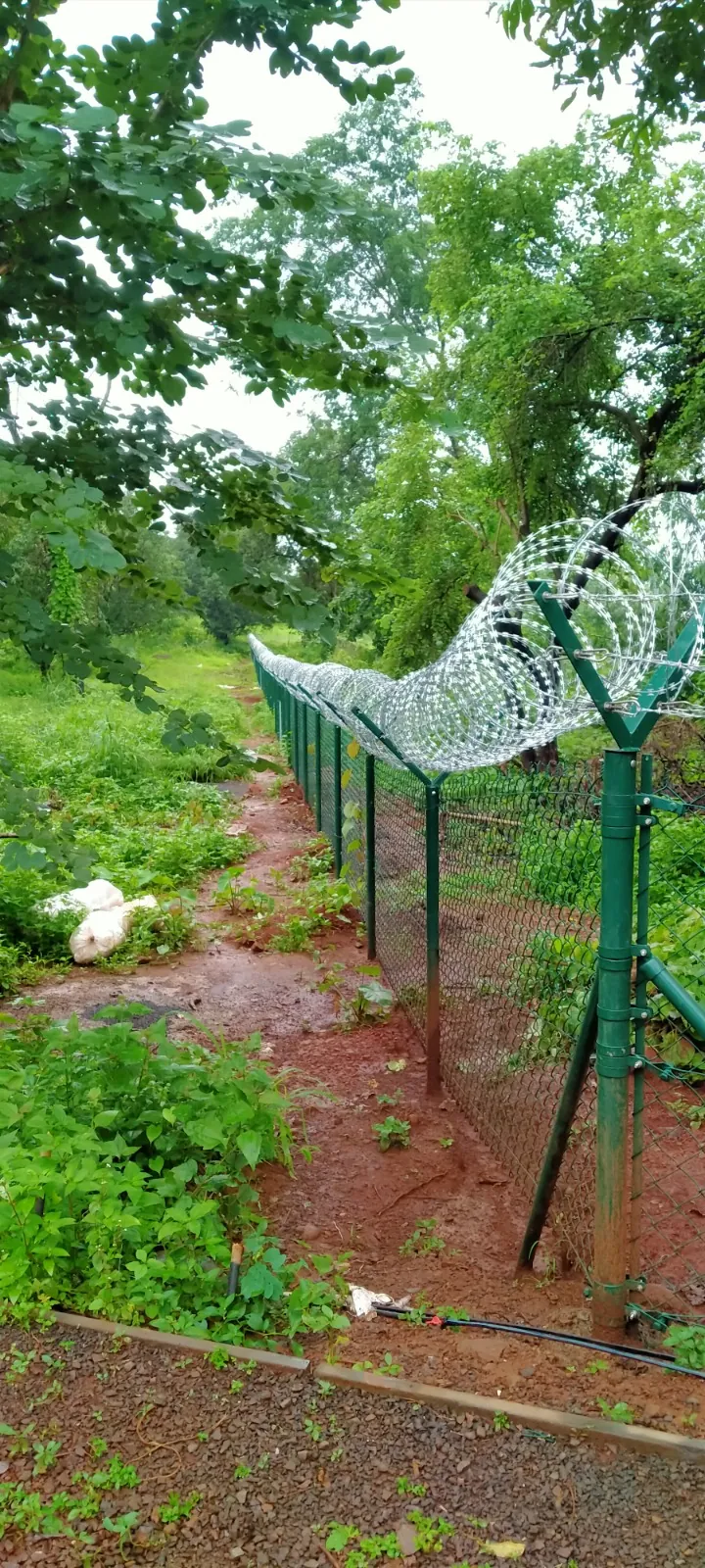 Chain Link Fencing